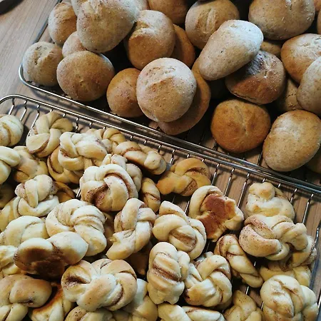 Guest house Tranoya *