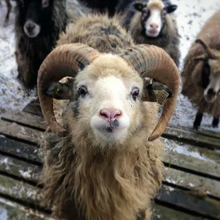 Guest house Tranoya Tranoya