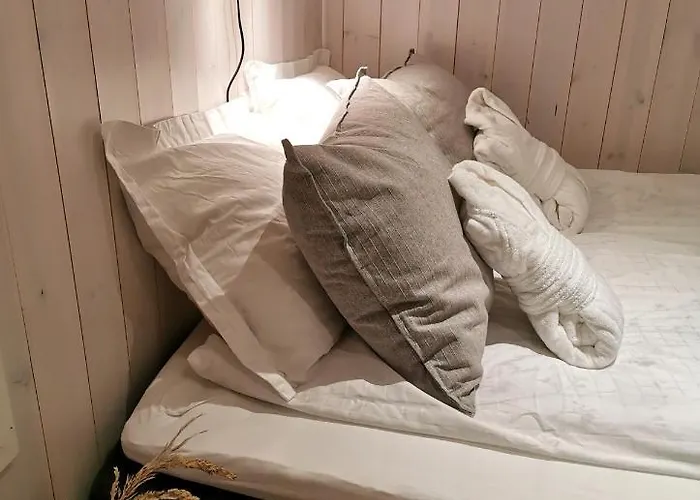 Tranoya 게스트하우스 *