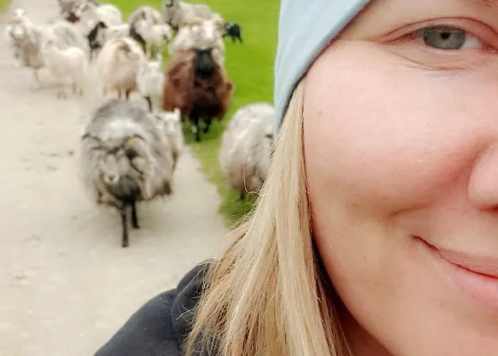 Tranoya 게스트하우스 Tranøya